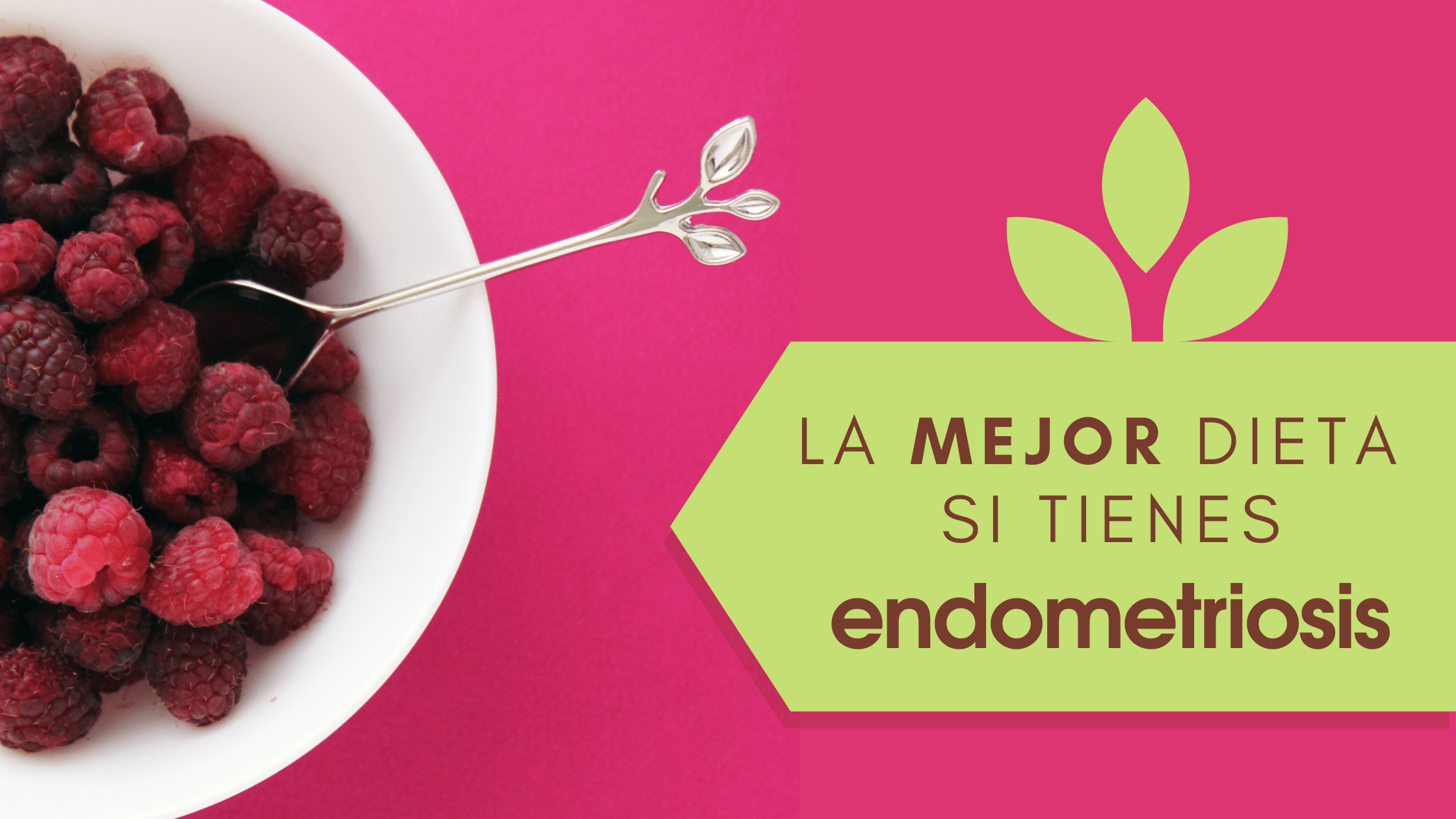 La mejor dieta si tienes endometriosis