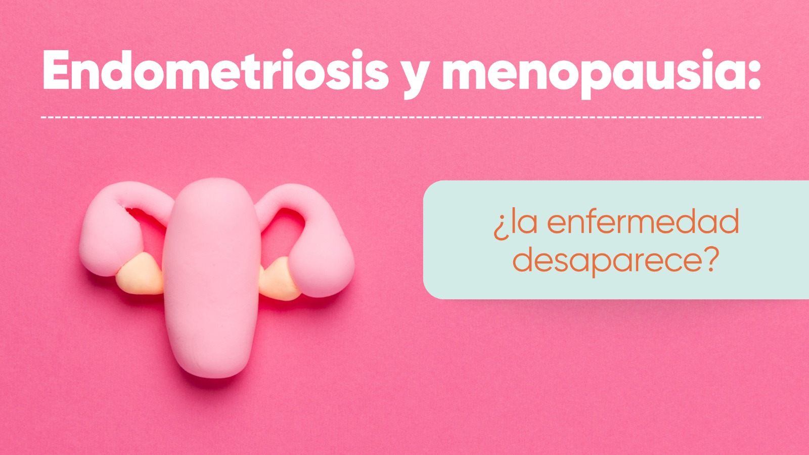 Endometriosis y menopausia: ¿la enfermedad desaparece?