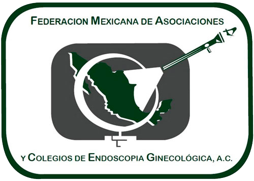 Federación Mexicana de Asociaciones y Colegios de Endoscopía Ginecológica A.C.